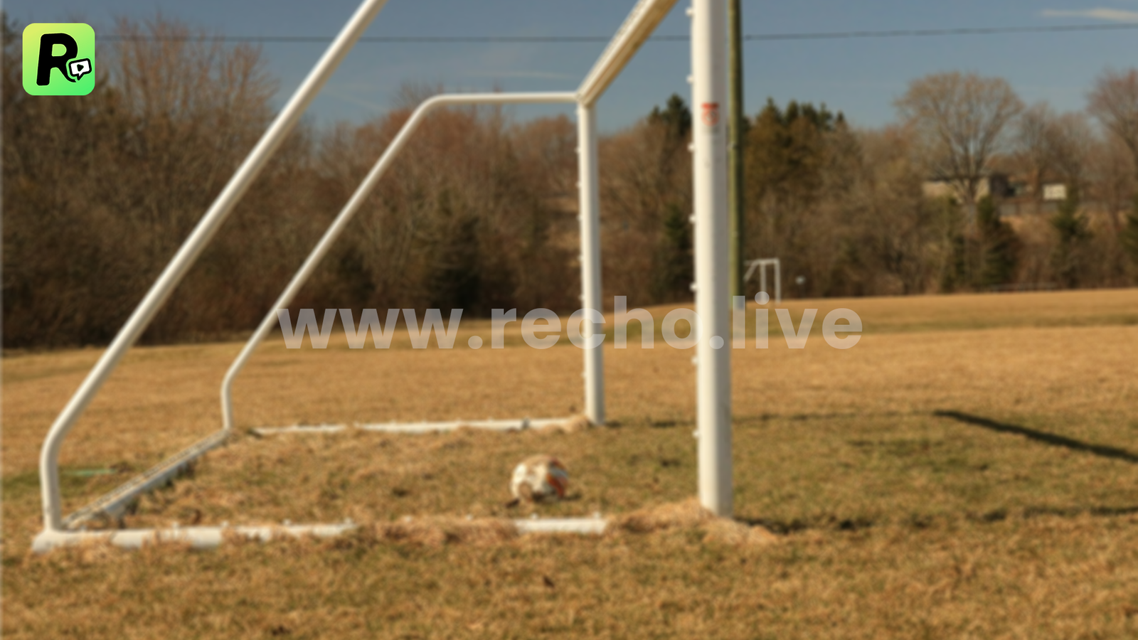 What are the Usual Goals for Recho Live Agents?